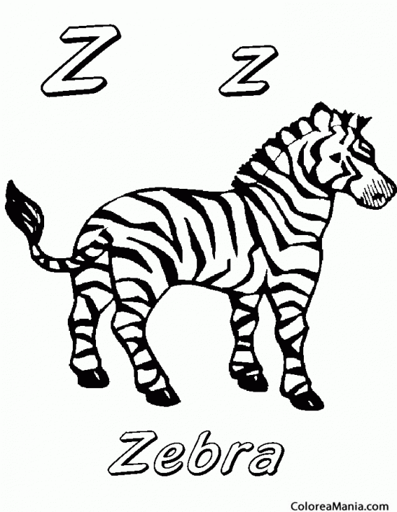 Colorear Zebra con Z