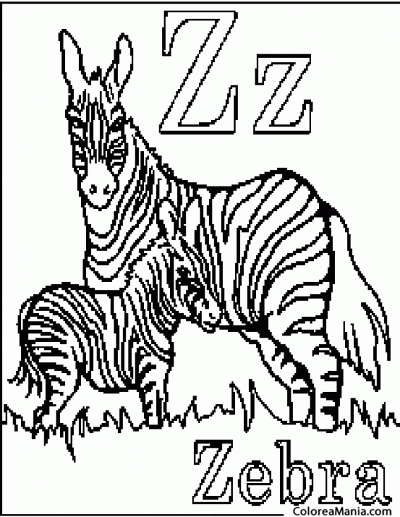 Colorear Z de Zebra