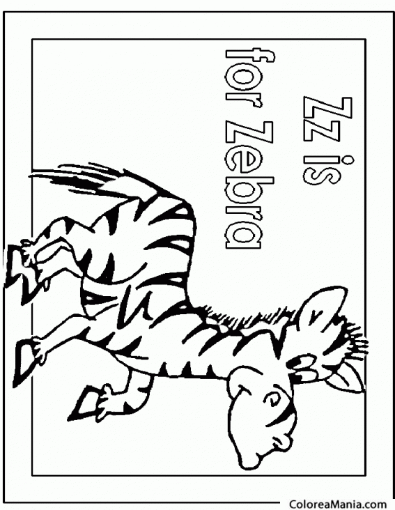 Colorear Z is for zebra