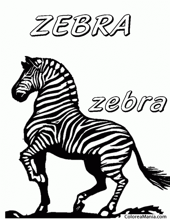 Colorear Z de Zebra  2