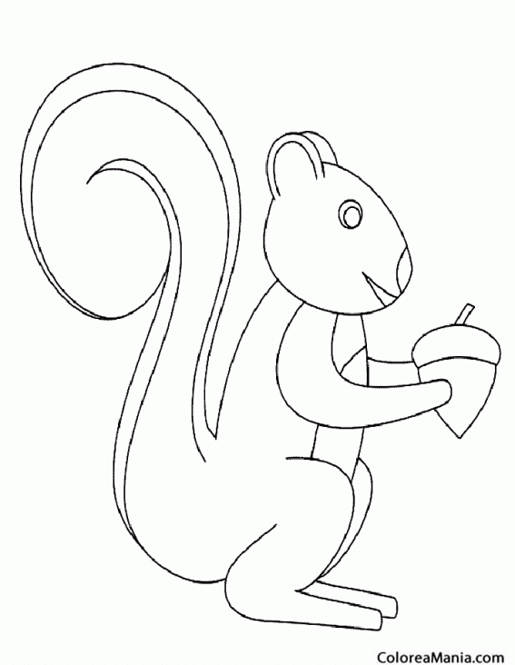 Colorear Ardilla con bellota (Animales del Bosque), dibujo para colorear gratis Colorear Ardilla con bellota (Animales del Bosque), dibujo para colorear gratis