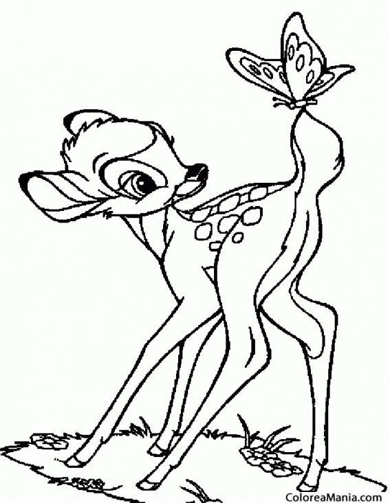 Colorear Cervatillo Disney (Animales del Bosque), dibujo para colorear  gratis