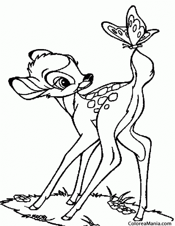 Colorear Cervatillo Disney (Animales del Bosque), dibujo para colorear gratis Colorear Cervatillo Disney (Animales del Bosque), dibujo para colorear gratis