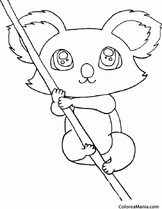 Koala Sentado Para Pintar Dibujos Para Colorear