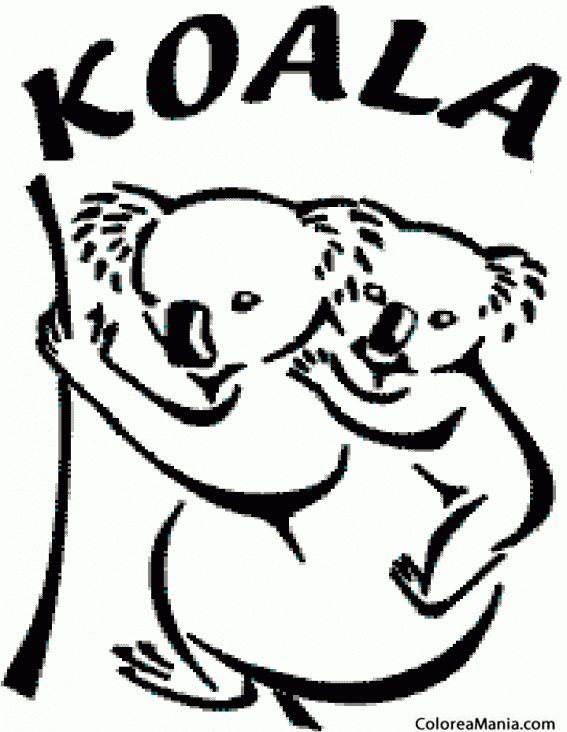 Colorear KoalaKoala es su nombre