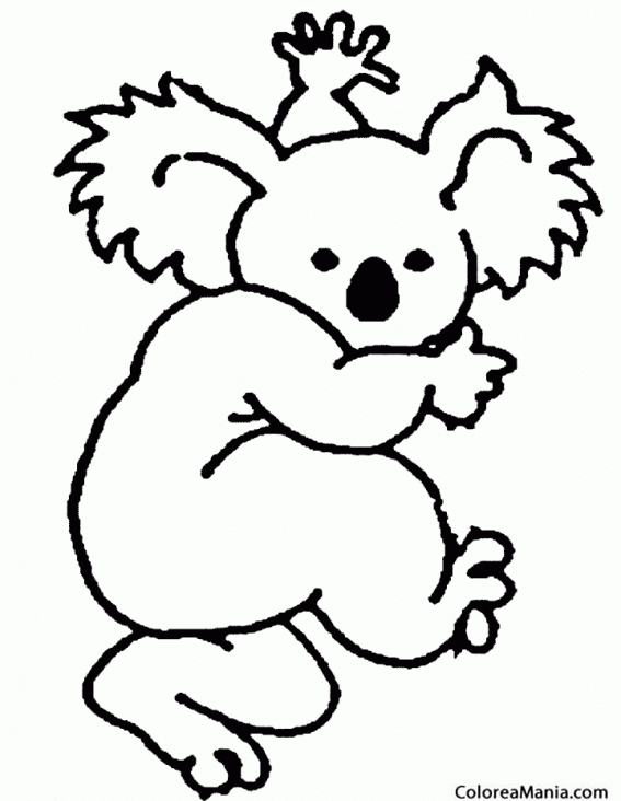 Colorear Koala bailando
