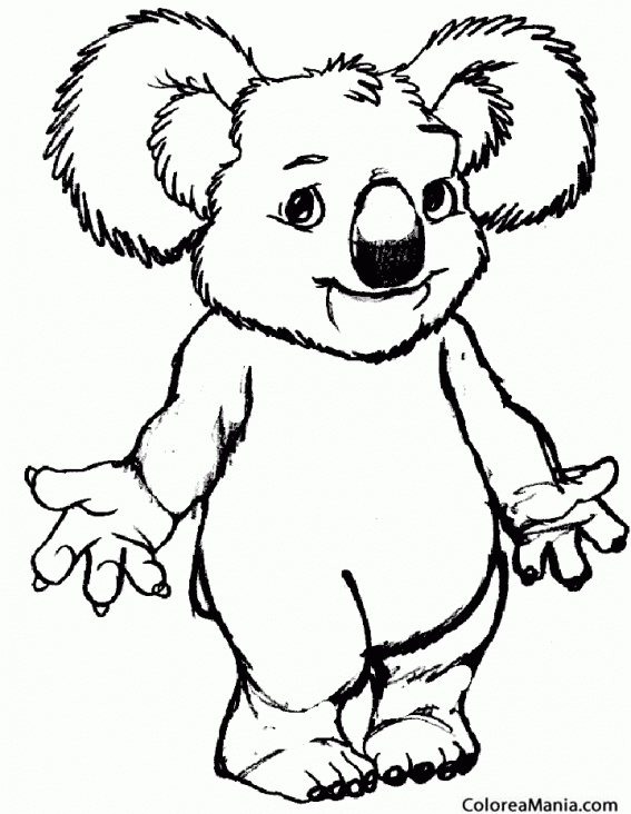 Colorear Koala conformista