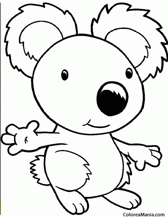 Colorear Koala orejas grandes 2