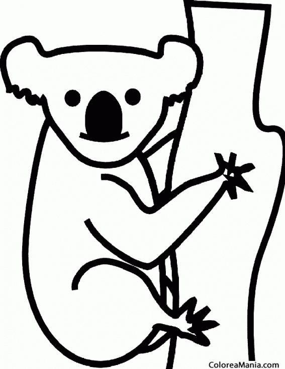 Colorear Koala subiendo por rbol