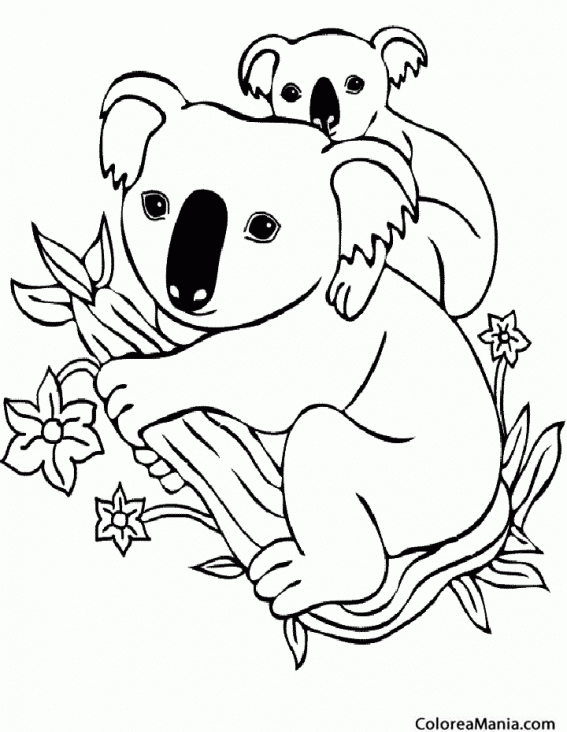 Colorear Koala con su cra