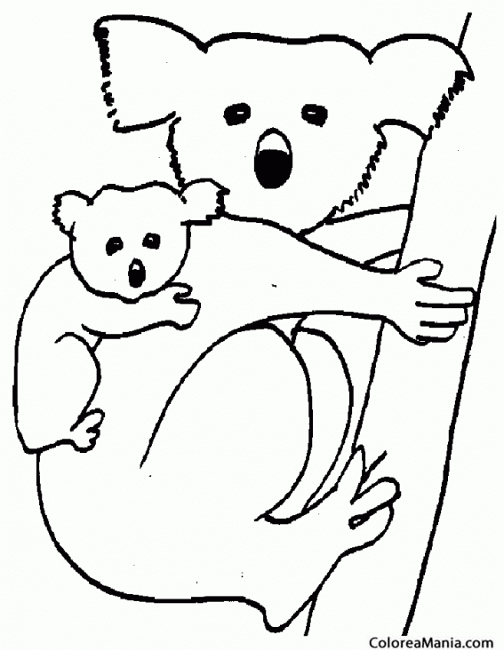 Colorear Mam Koala e hijito