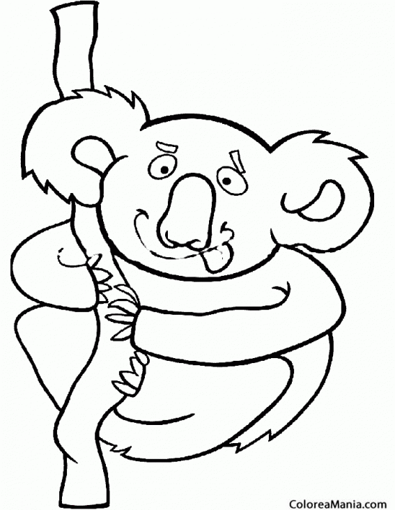 Colorear Koala que saca la lengua