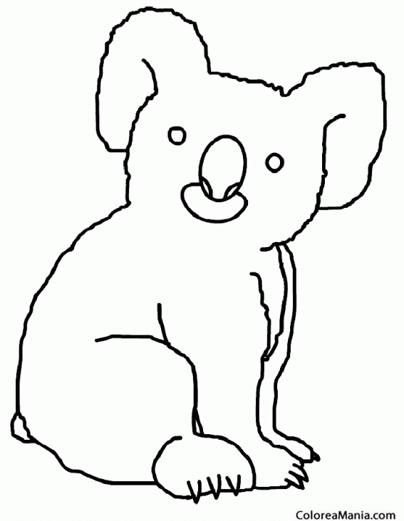 Colorear Koala atnito