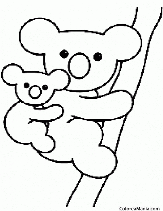 Colorear Koala. Coala. Peluche