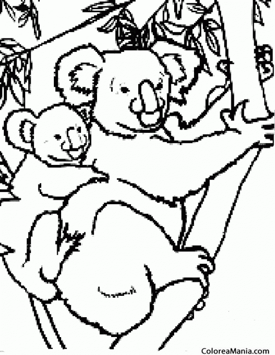 Colorear Koala con cra