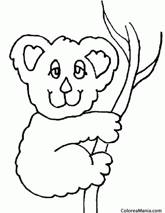 Colorear Koala en rama