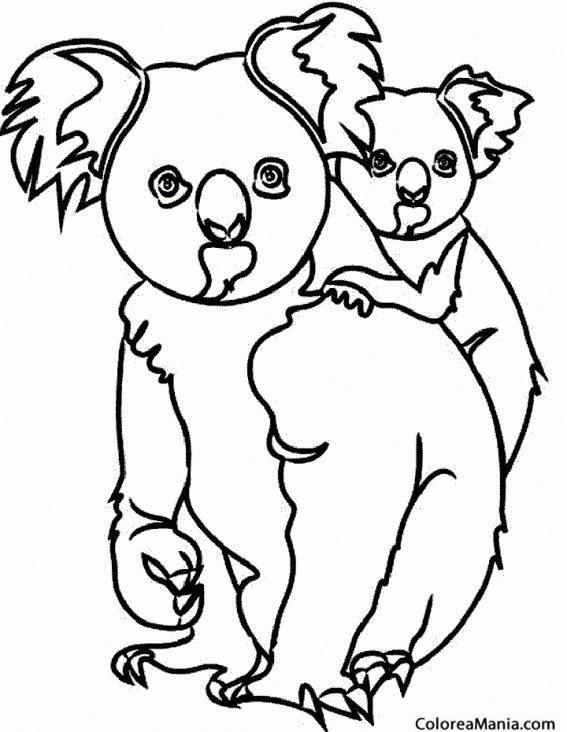 Colorear Koala y su cra