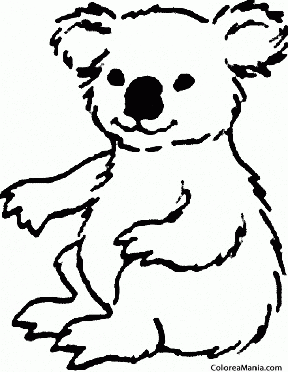 Colorear Koala peludo