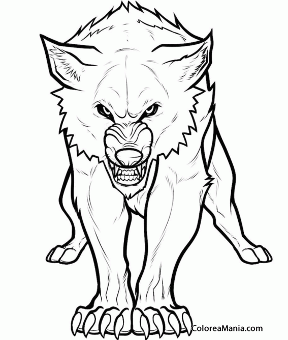 Colorear Lobo amenazador (Animales del Bosque), dibujo para colorear gratis