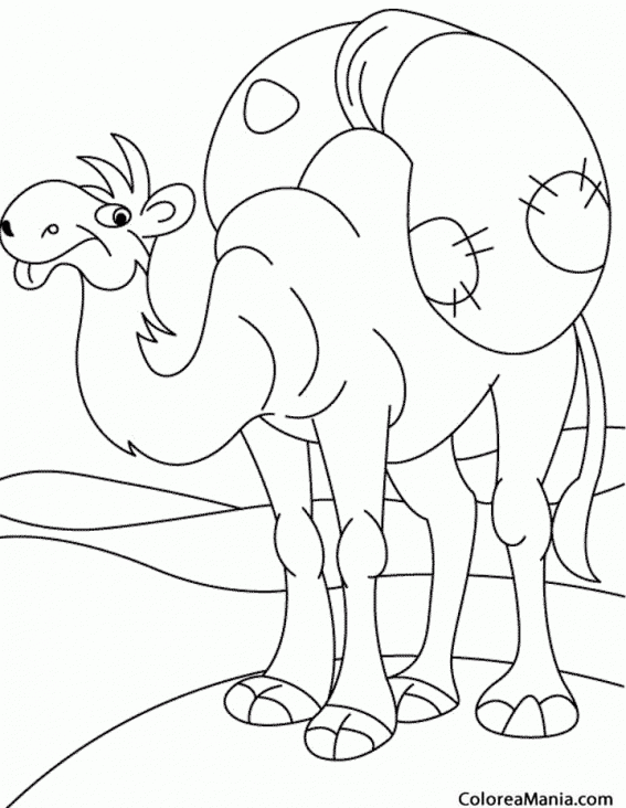 Colorear Camello con carga