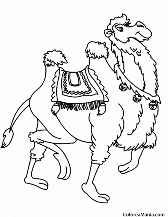 Colorear Camello con bonita silla