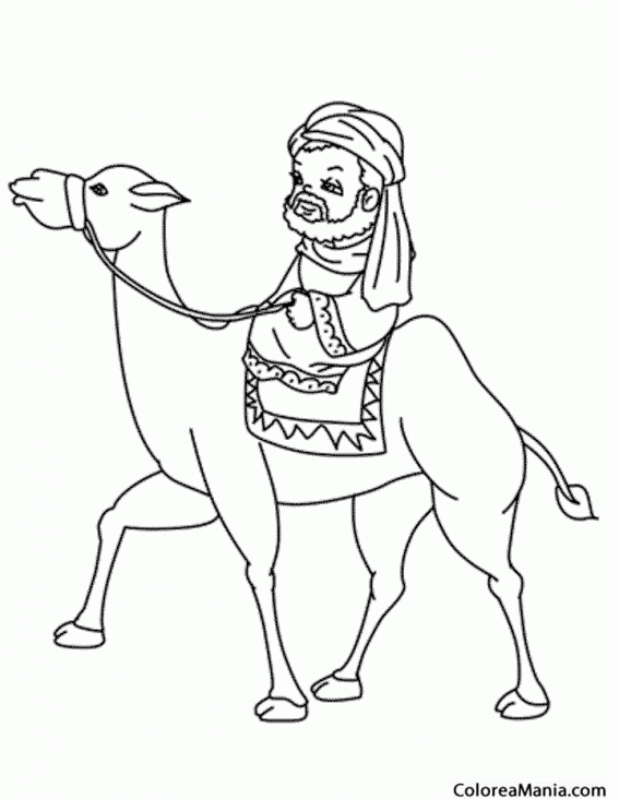 Colorear Camello on joven jinete