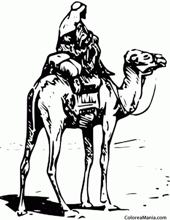 Colorear Camello con jinete