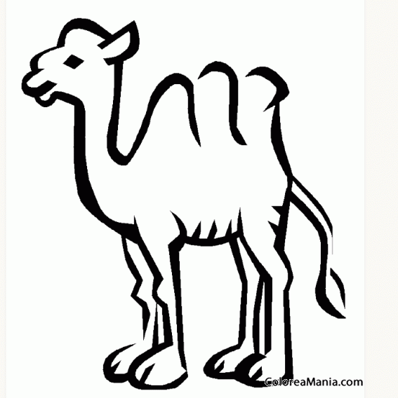 Colorear Camello tres jorobas