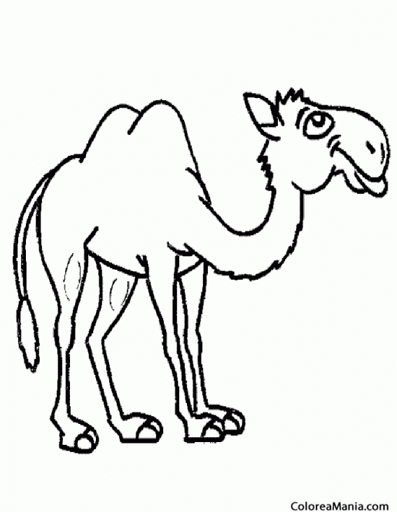 Colorear Camello simpln