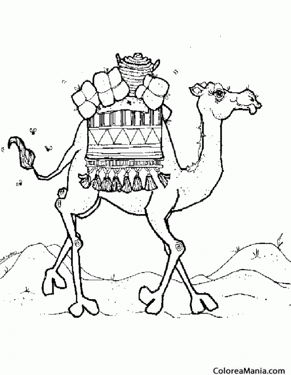 Colorear Camello cargado