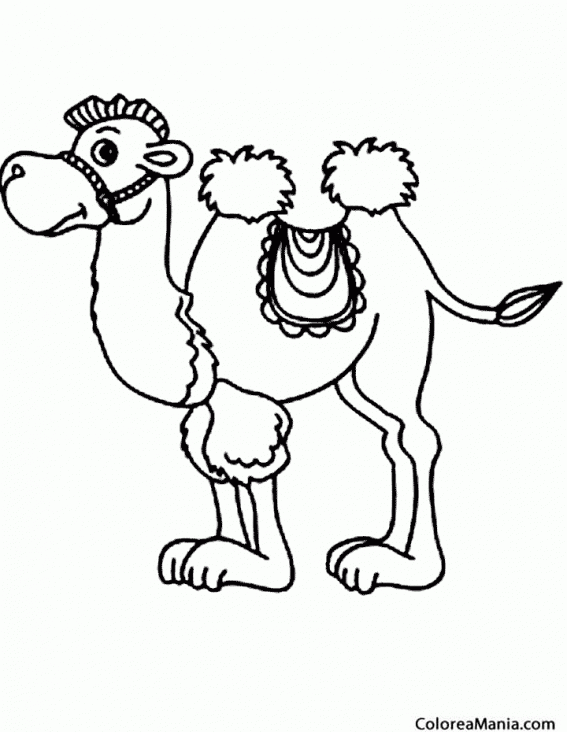 Colorear Camello adornado