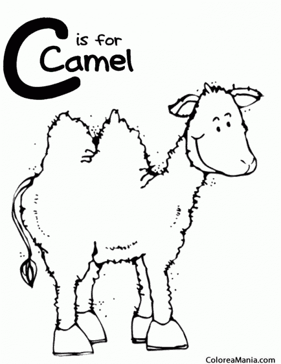 Colorear Camello es con C
