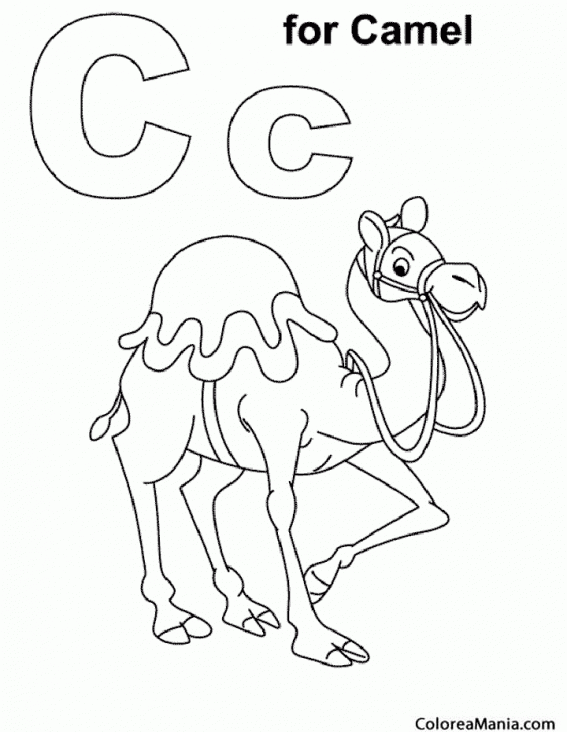 Colorear C de Camello