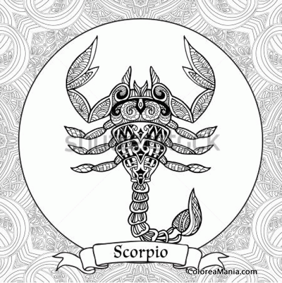 Colorear Escorpion. Scorpion. Scorpio. Scorpione 13
