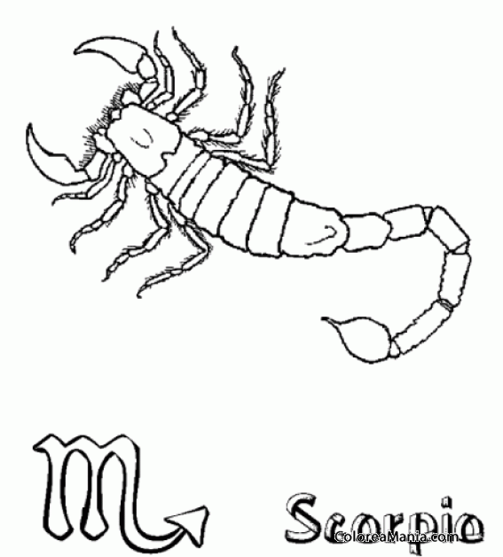 Colorear Escorpin. Scorpion. Scorpio. Scorpione 14