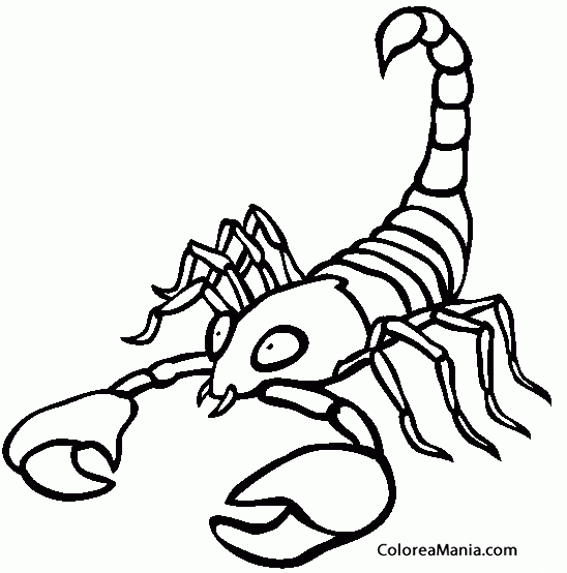 Colorear Escorpin. Scorpion. Scorpio. Scorpione 15