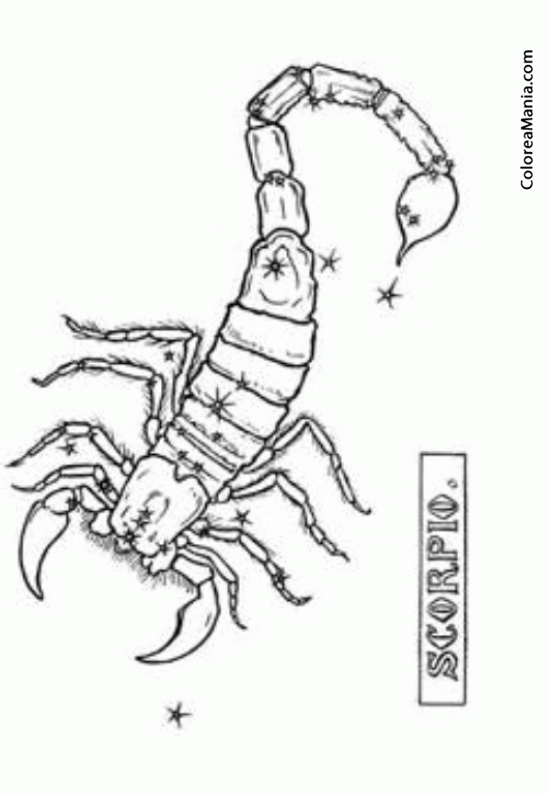 Colorear Escorpin. Scorpion. Scorpio. Scorpione 19