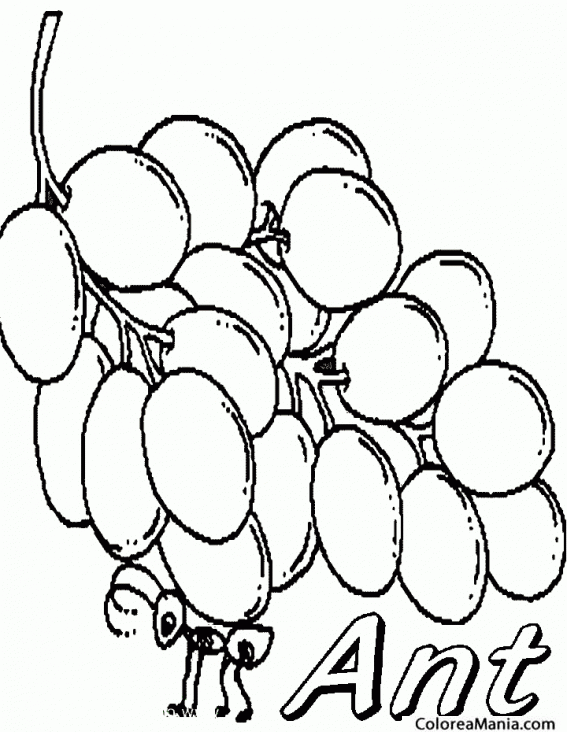 Colorear Hormiga cagando un rcimo uvas