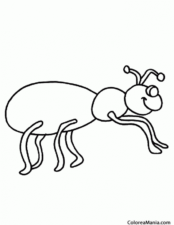 Colorear Smiling Ant. Hormiga. Formiga