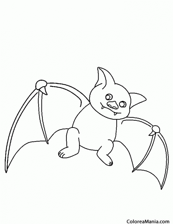 Colorear Murciélago cara cerdito (Animales del Bosque), dibujo para  colorear gratis