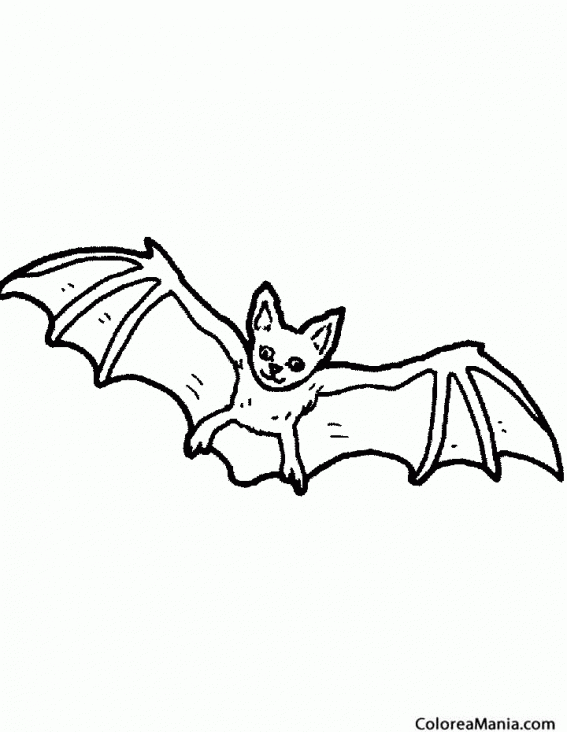 Colorear Murcilago. Bat. Chauve-souris 3