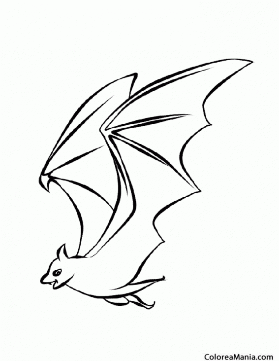 Colorear Murciélago volando alto (Animales del Bosque), dibujo para  colorear gratis