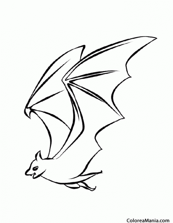 Colorear Murciélago volando alto (Animales del Bosque), dibujo para colorear gratis Colorear Murciélago volando alto (Animales del Bosque), dibujo para colorear gratis