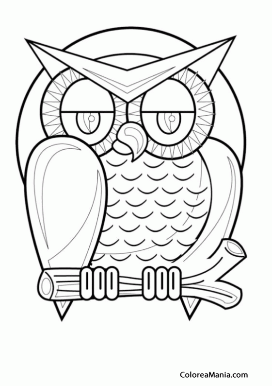 Colorear Buho. Owl. Hibou. Gufo. Mussol 2