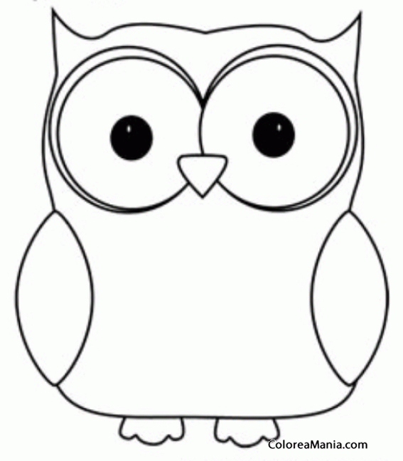 Colorear Buho. Owl. Hibou. Gufo. Mussol 5