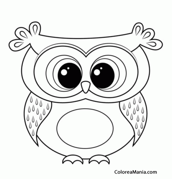 Colorear Buho. Owl. Hibou. Mussol. Gufo 