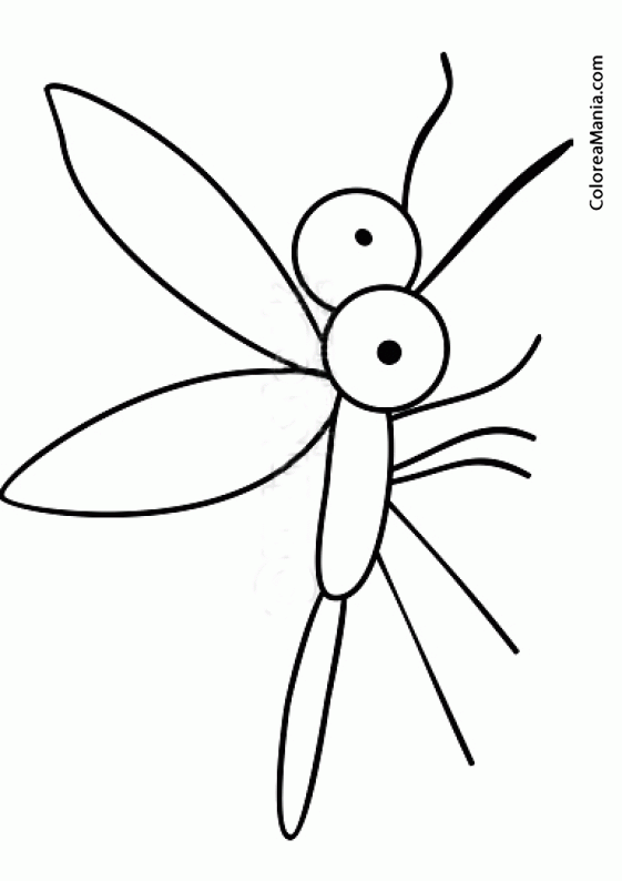 Colorear Mosquito 2