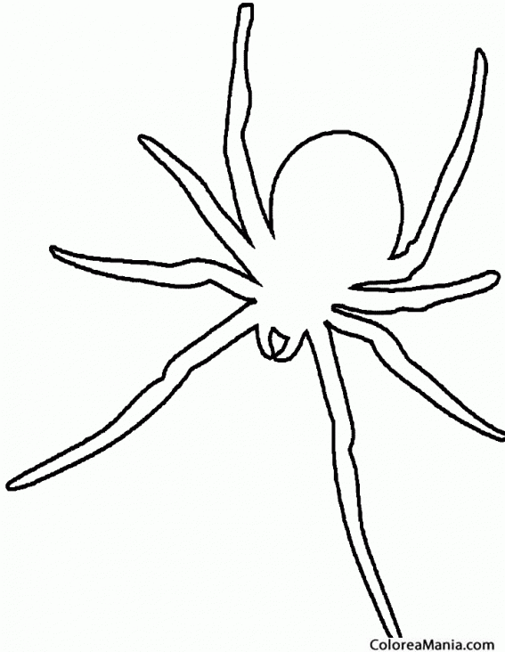 Colorear silueta de araa. Spider silouette 2