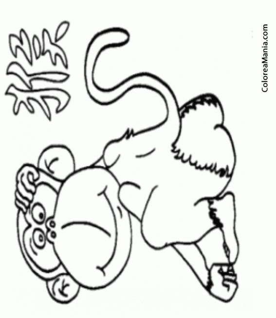 Colorear Horscopo Chino, Signo del Mono