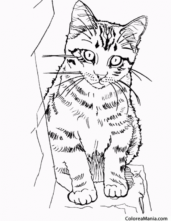 Featured image of post Dibujos Callejeros Para Dibujar